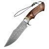 Outdoor Self-defense Damascus Steel Forged Knife